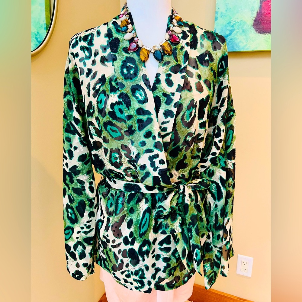 Vada Winter 💚🖤 Leopard Cheetah Animal Print Black Green Robe Evening Wrap XL 💚🖤